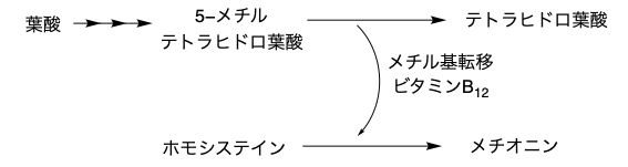 解説画像